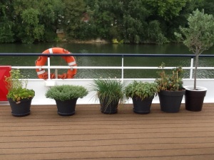 The Captain's Herb Garden on board River Baroness
